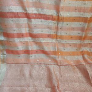 Peach & Coral Striped Saree