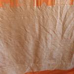 Vibrant Coral Banarasi Georgette Saree