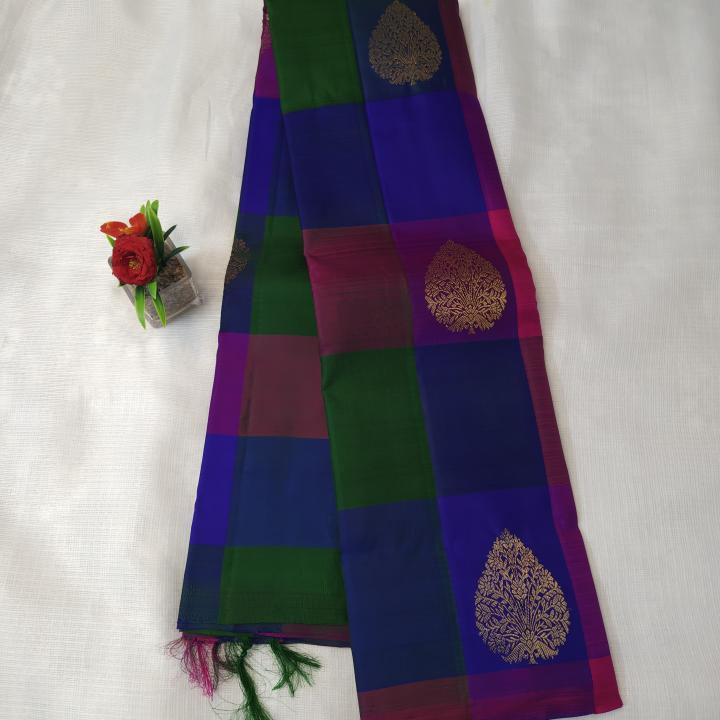 Multi-Color Block Silk Saree with Gold Zari Mango Motifs